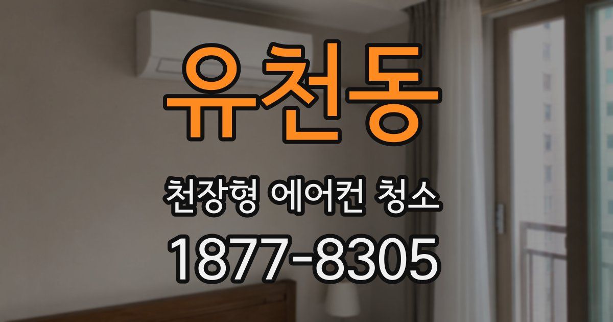 유천동 천장형 에어컨 청소