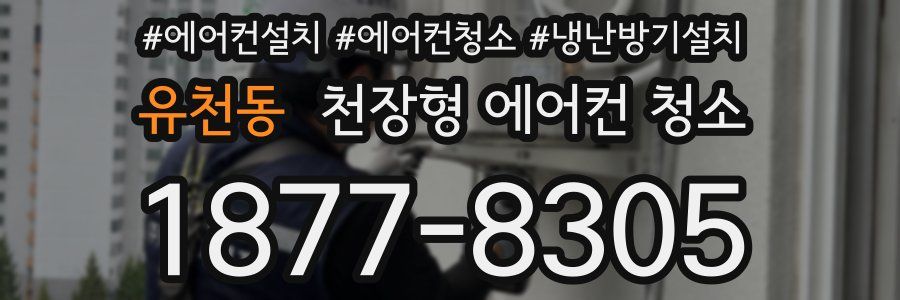 유천동 천장형 에어컨 청소