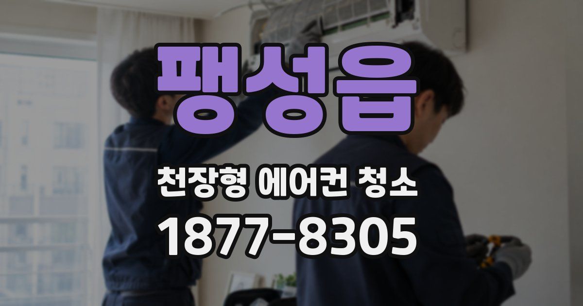 팽성읍 천장형 에어컨 청소