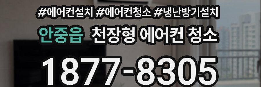 안중읍 천장형 에어컨 청소