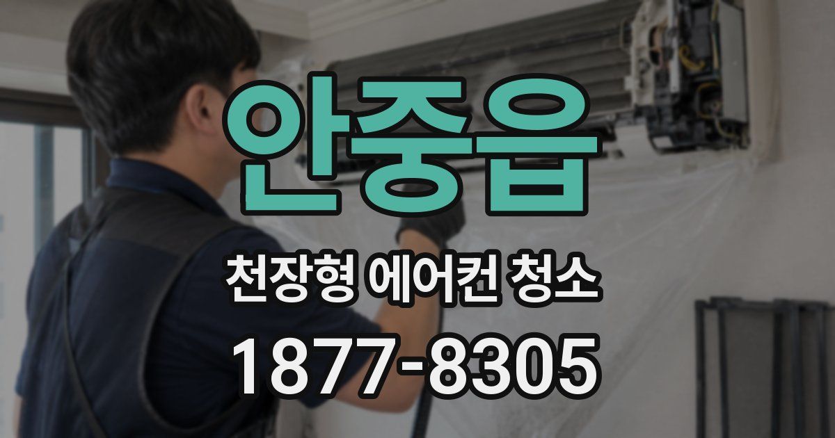 안중읍 천장형 에어컨 청소