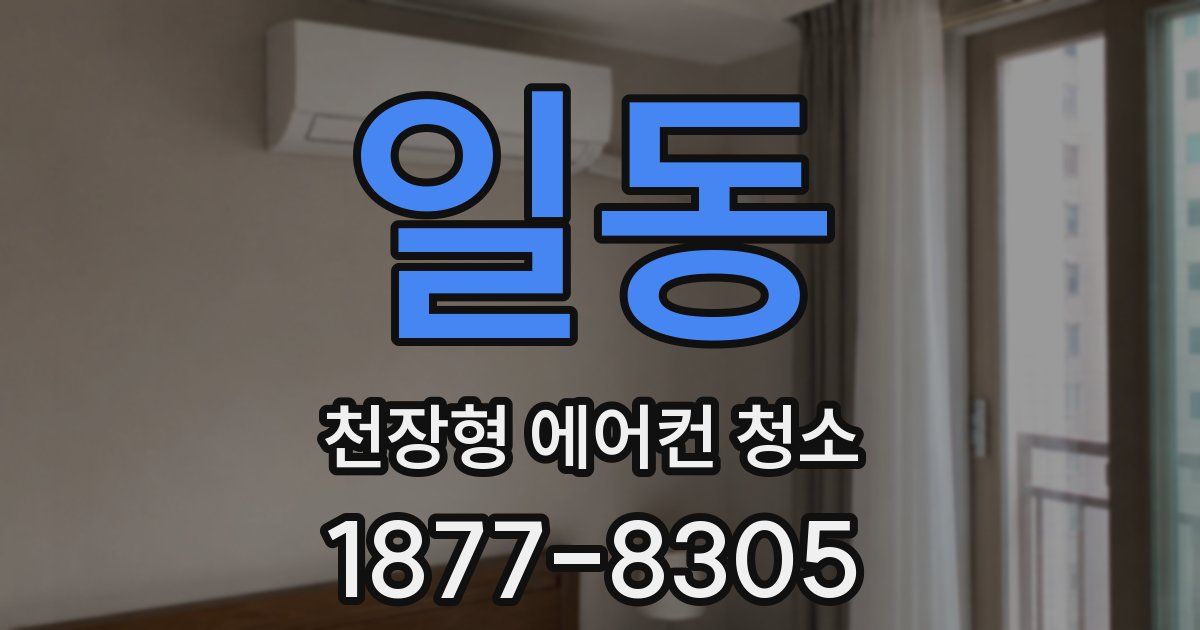 일동 천장형 에어컨 청소