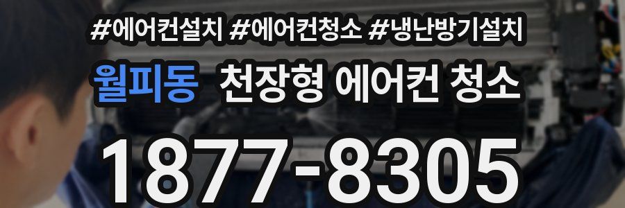 월피동 천장형 에어컨 청소