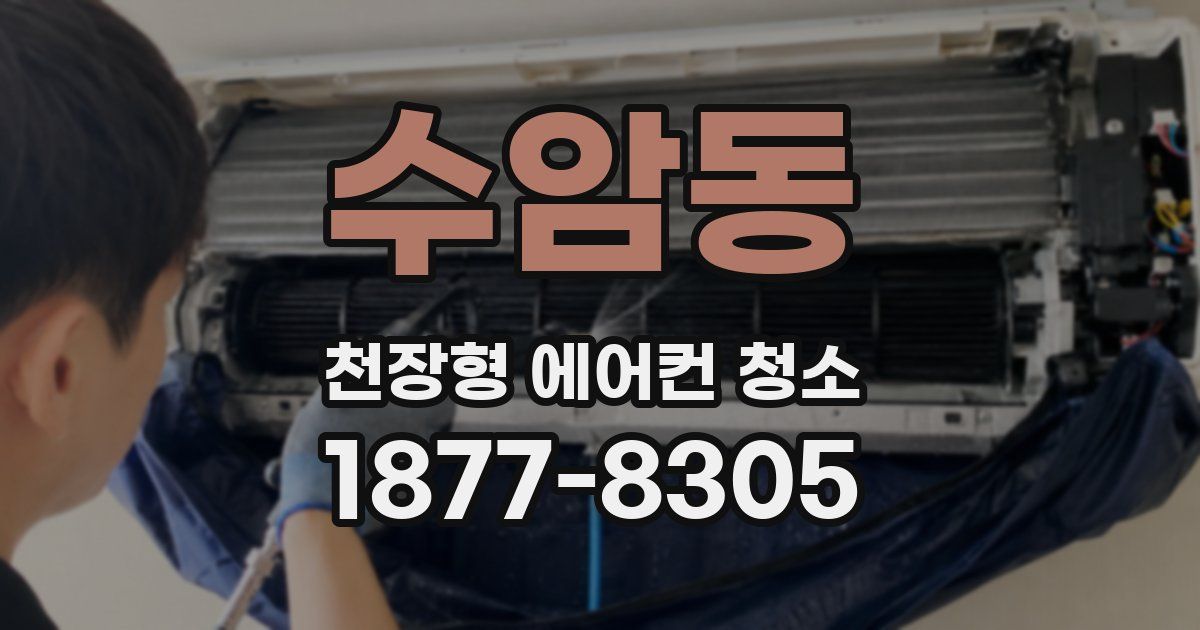 수암동 천장형 에어컨 청소