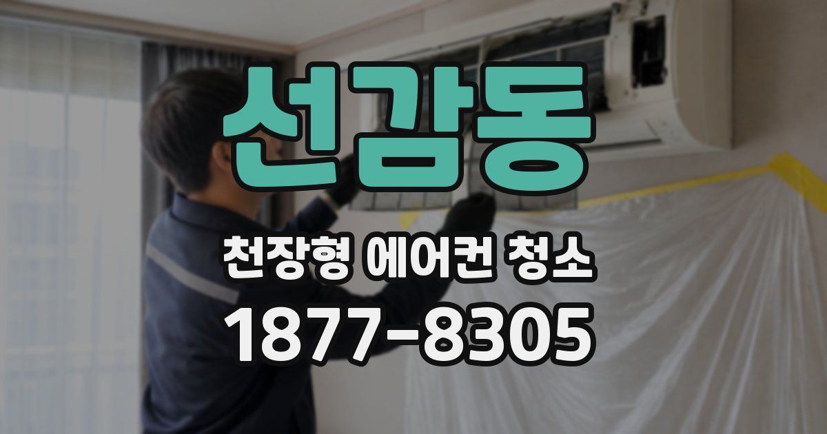 선감동 천장형 에어컨 청소