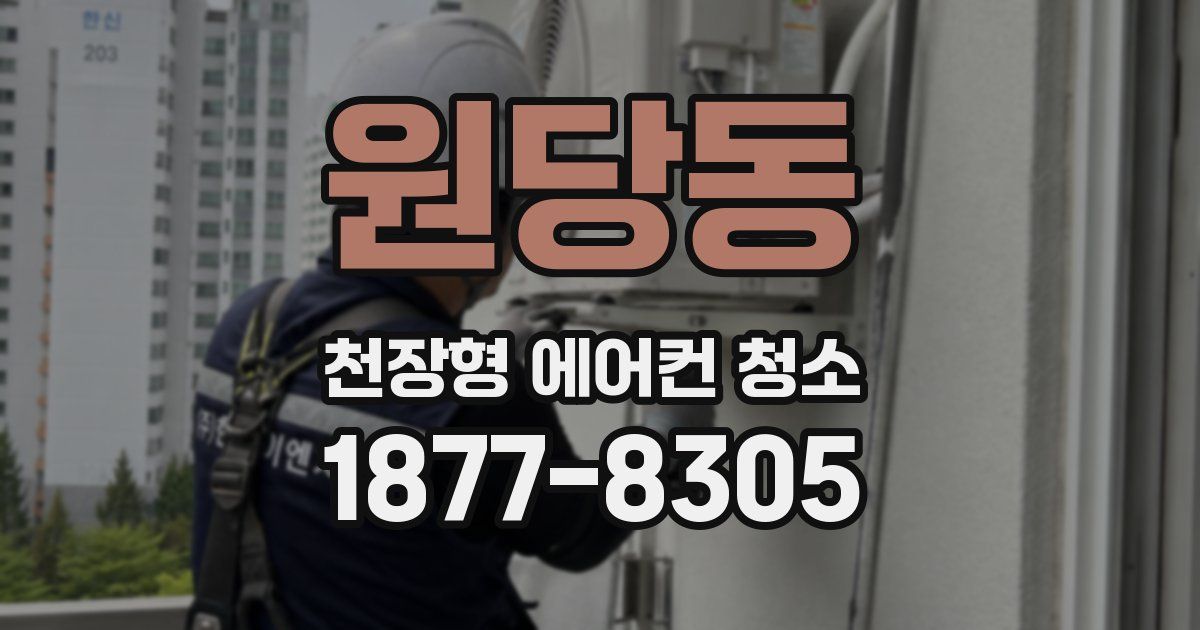 원당동 천장형 에어컨 청소