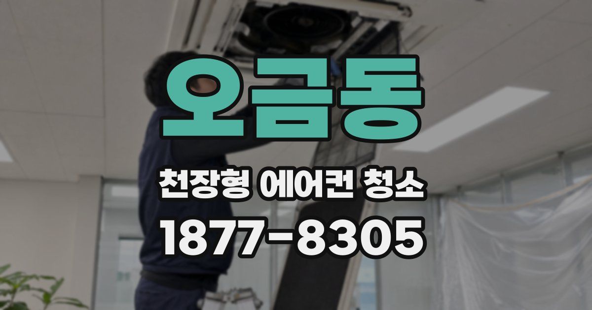 오금동 천장형 에어컨 청소