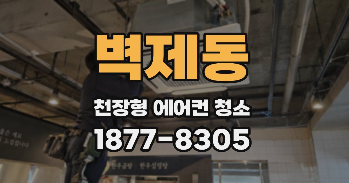 벽제동 천장형 에어컨 청소
