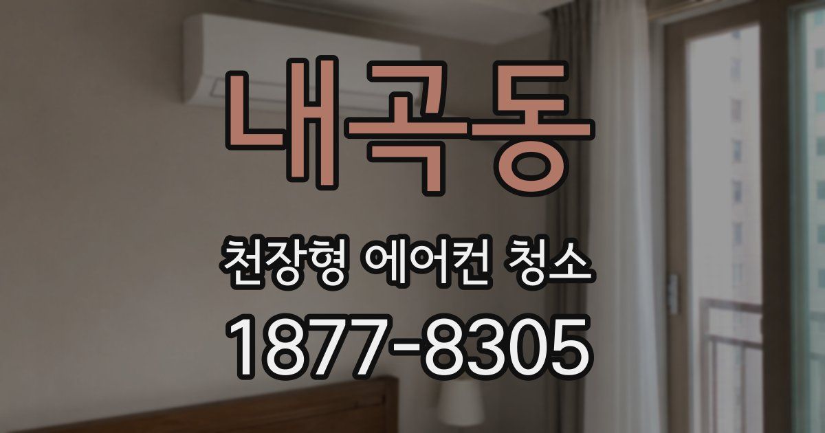 내곡동 천장형 에어컨 청소