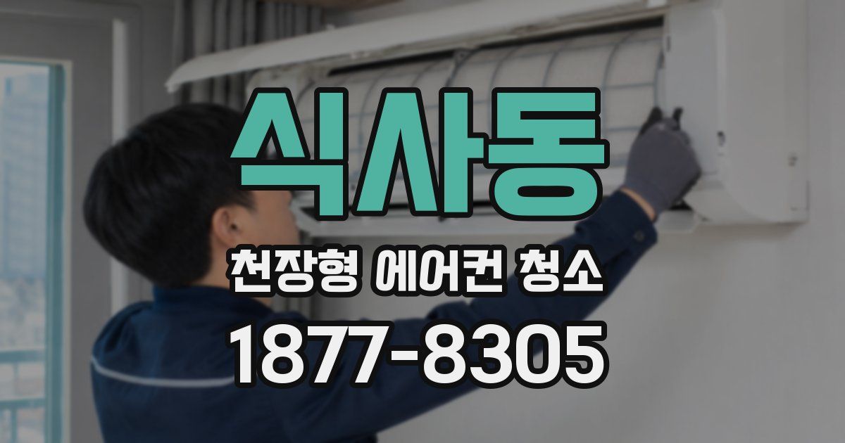 식사동 천장형 에어컨 청소