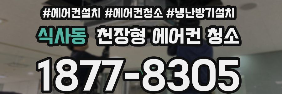 식사동 천장형 에어컨 청소