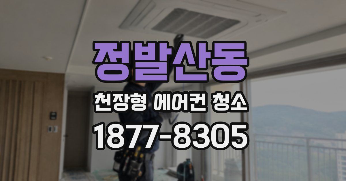정발산동 천장형 에어컨 청소