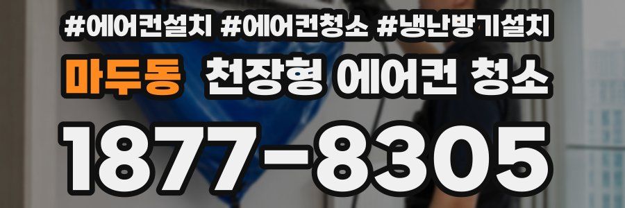 마두동 천장형 에어컨 청소