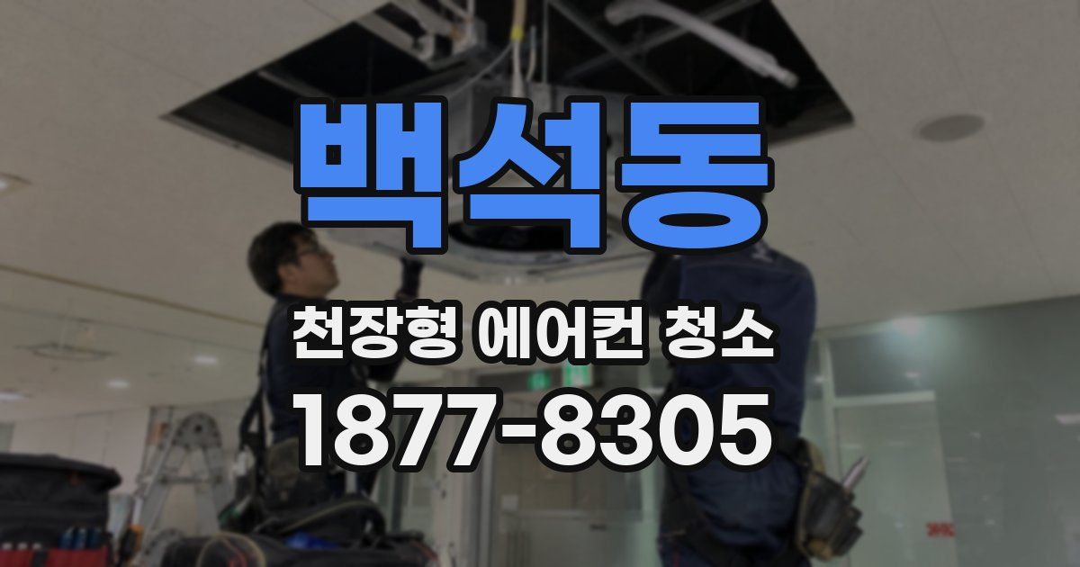 백석동 천장형 에어컨 청소
