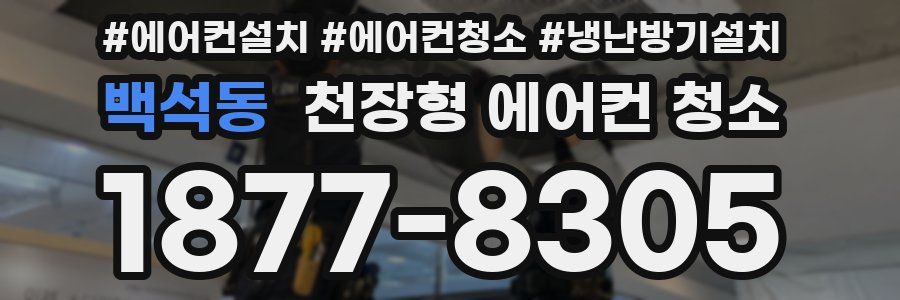 백석동 천장형 에어컨 청소