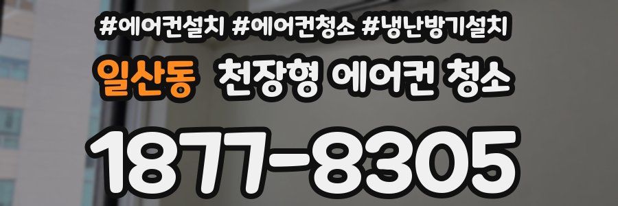 일산동 천장형 에어컨 청소