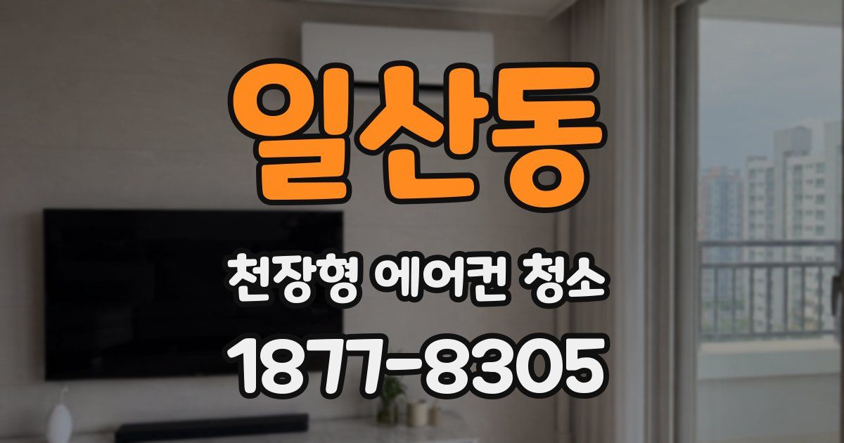 일산동 천장형 에어컨 청소