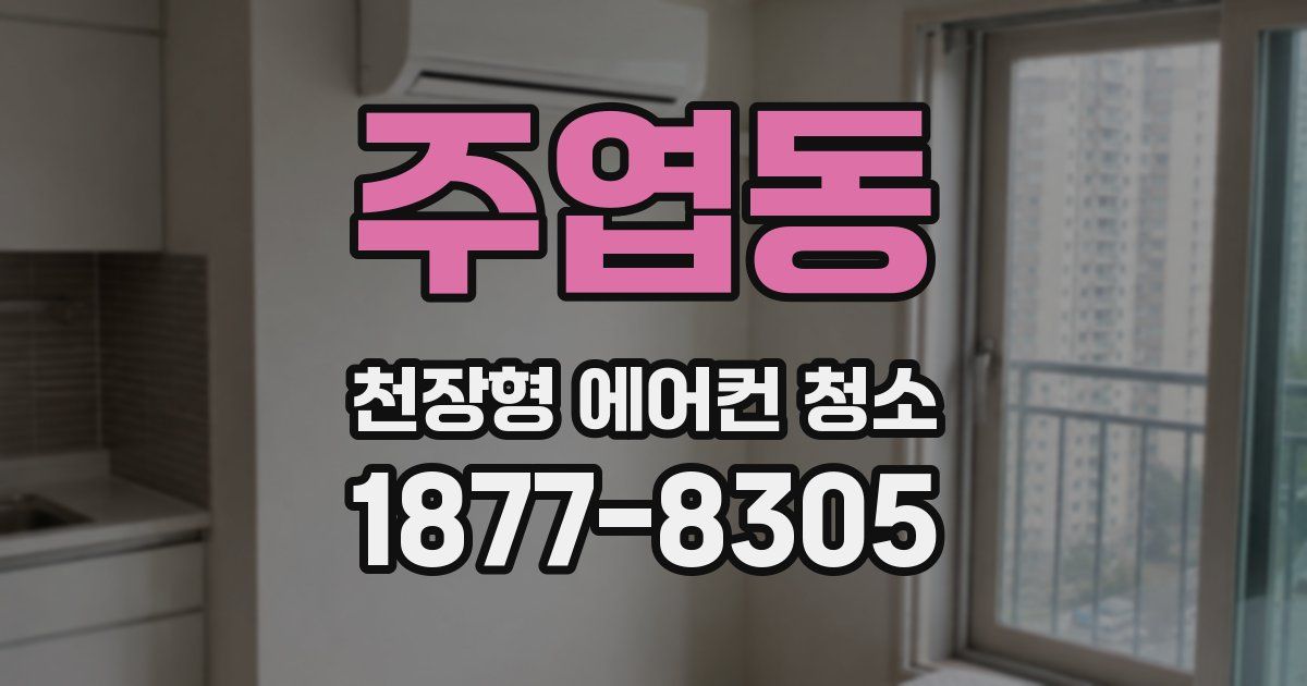 주엽동 천장형 에어컨 청소