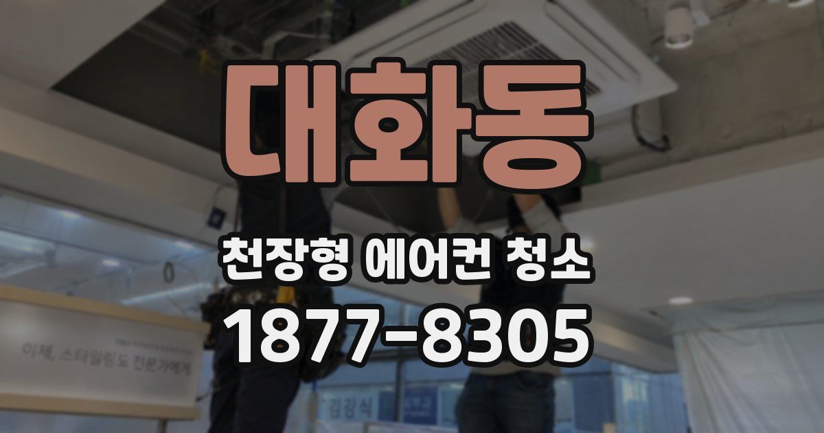 대화동 천장형 에어컨 청소