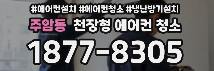 주암동 천장형 에어컨 청소
