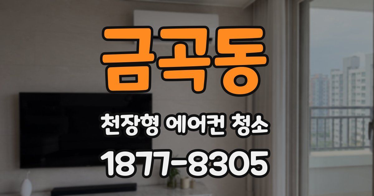 금곡동 천장형 에어컨 청소