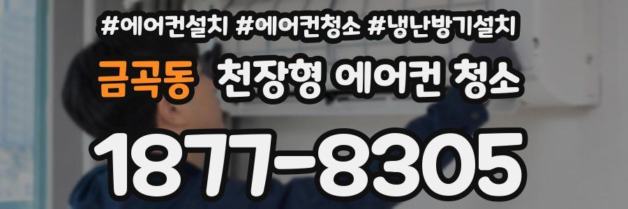 금곡동 천장형 에어컨 청소