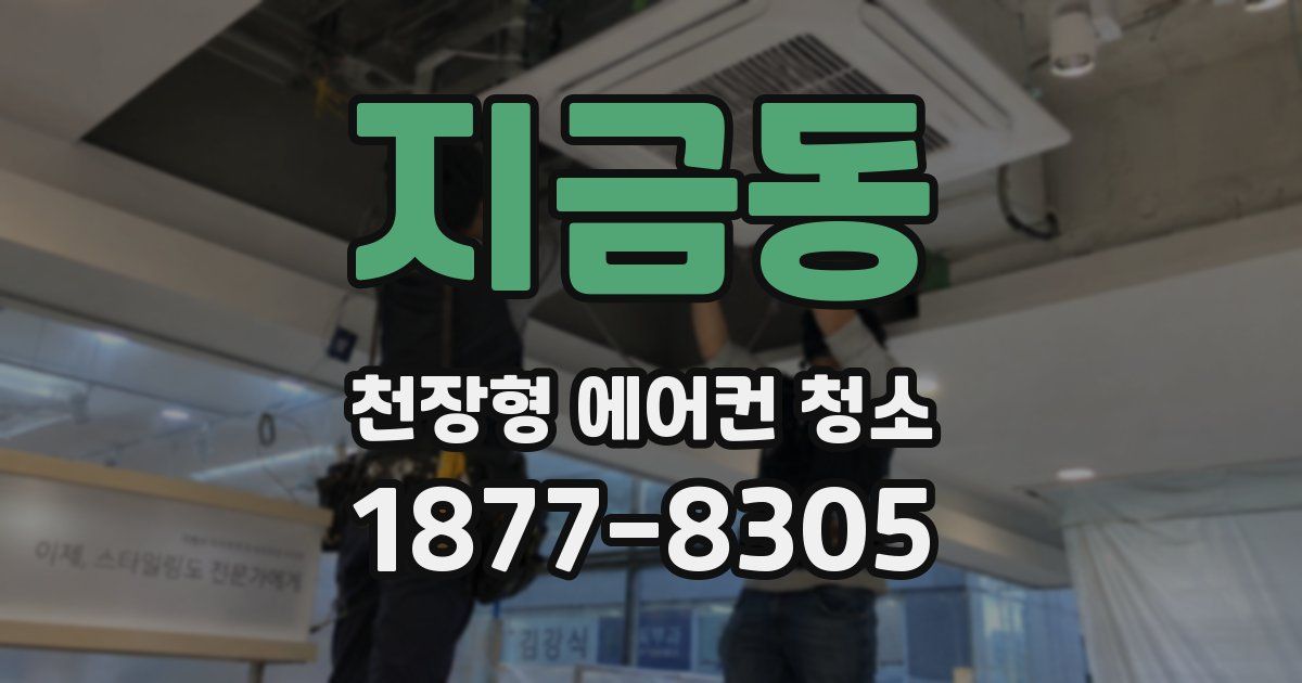 지금동 천장형 에어컨 청소