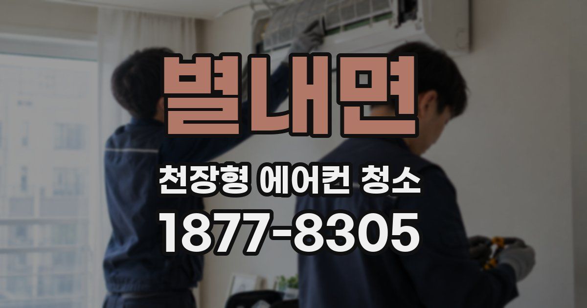별내면 천장형 에어컨 청소