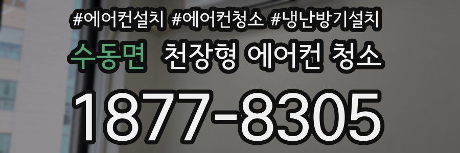 수동면 천장형 에어컨 청소