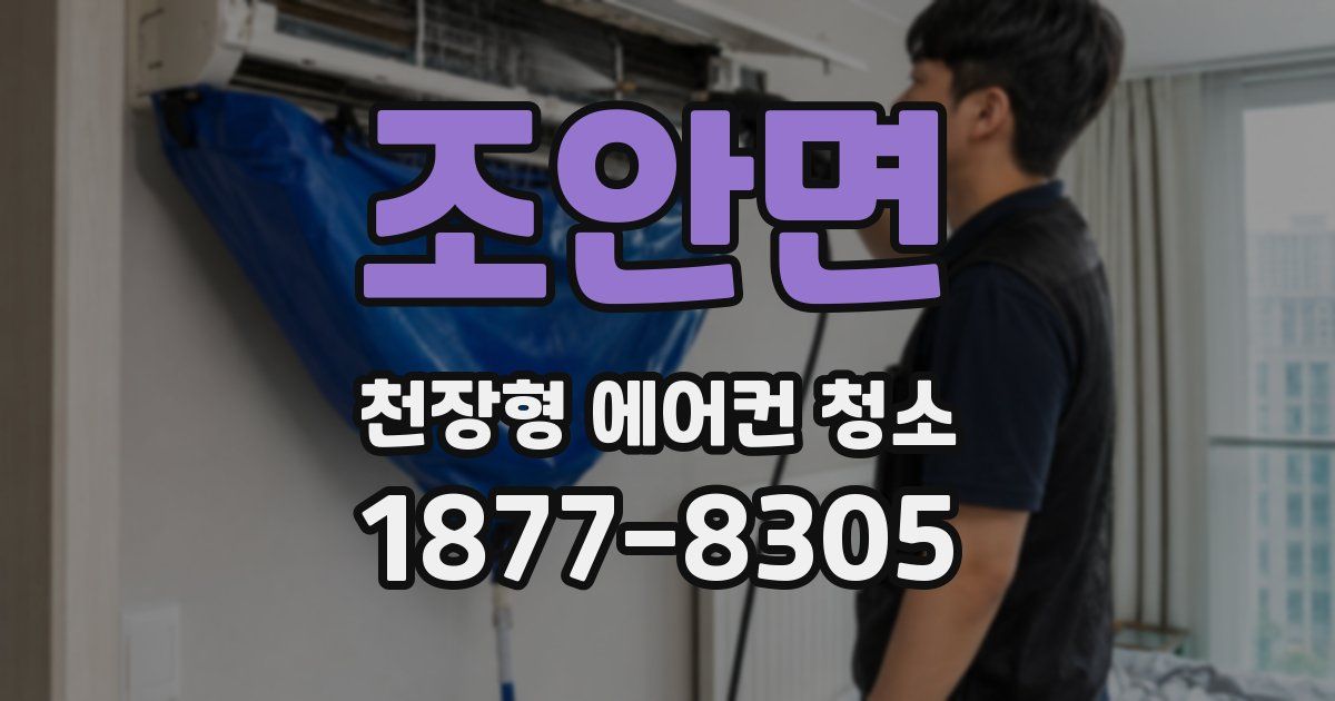 조안면 천장형 에어컨 청소