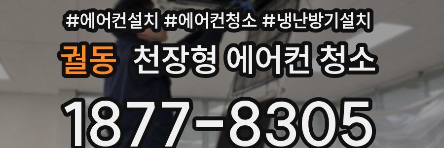궐동 천장형 에어컨 청소