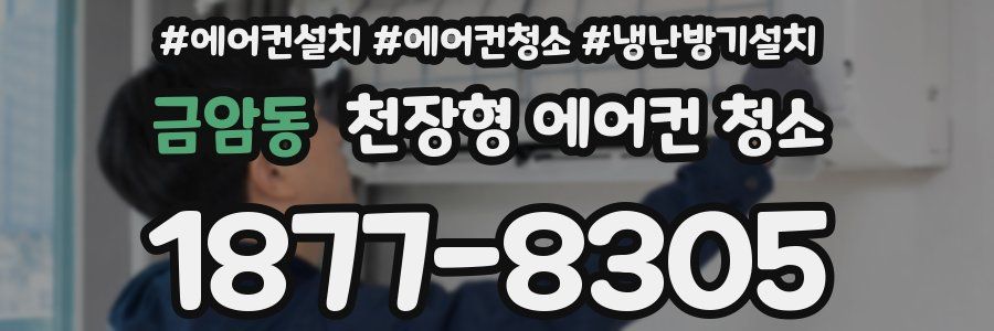 금암동 천장형 에어컨 청소