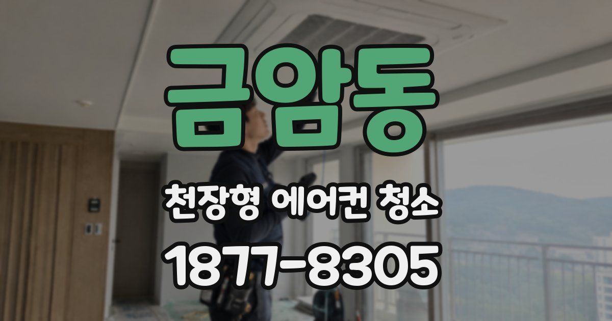 금암동 천장형 에어컨 청소