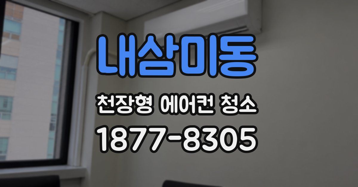 내삼미동 천장형 에어컨 청소