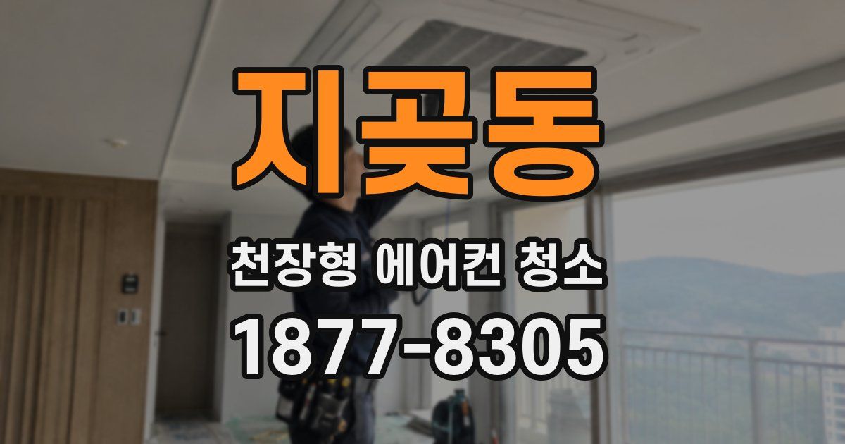 지곶동 천장형 에어컨 청소