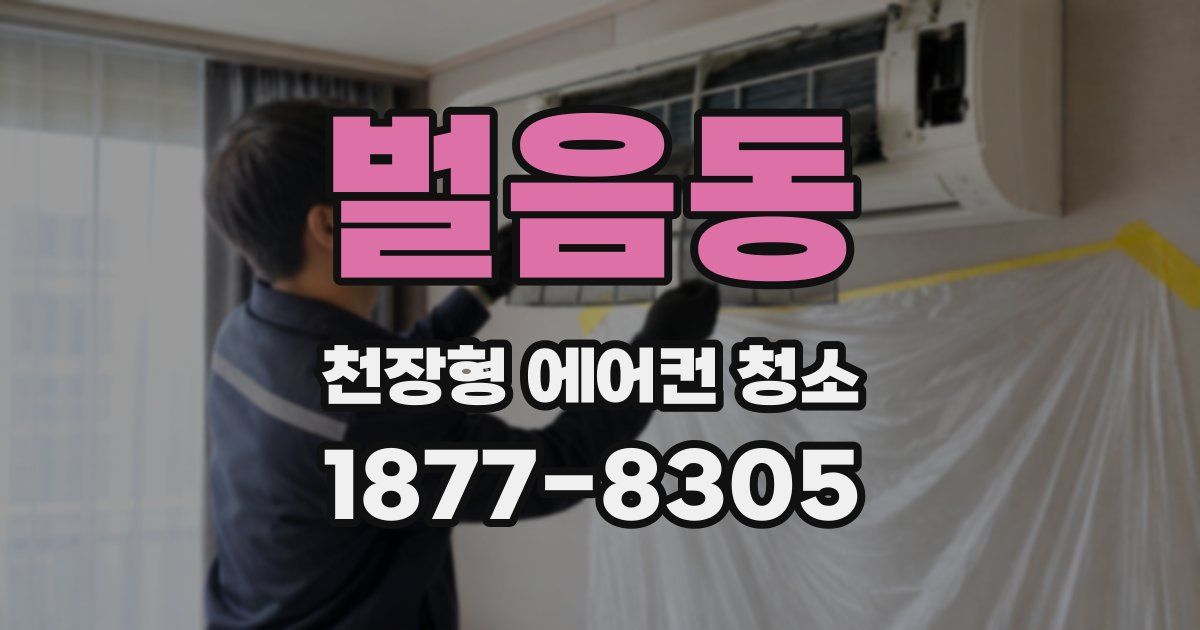 벌음동 천장형 에어컨 청소