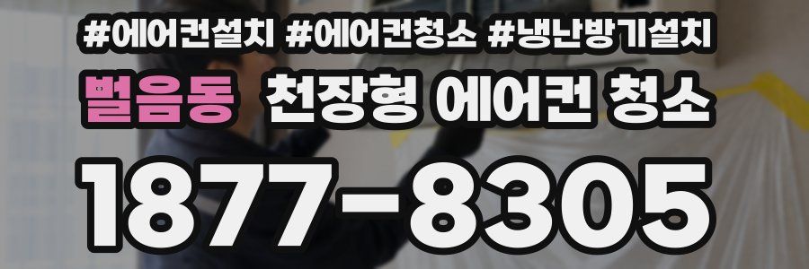 벌음동 천장형 에어컨 청소
