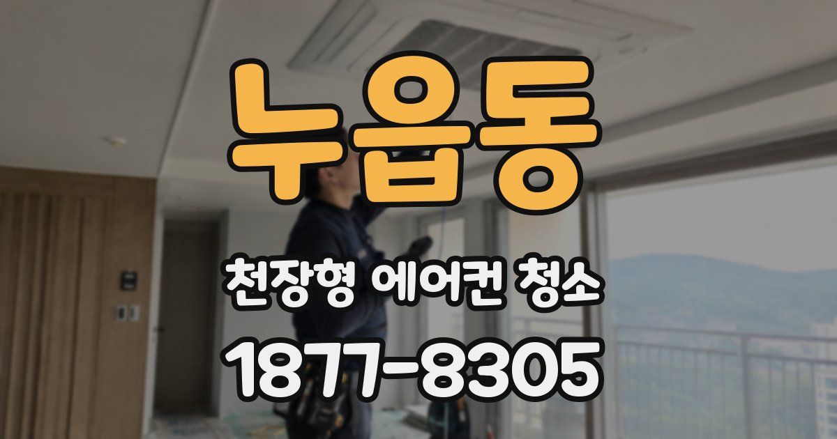 누읍동 천장형 에어컨 청소