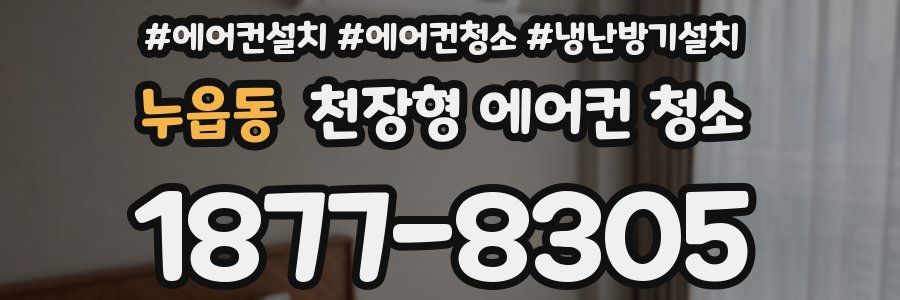 누읍동 천장형 에어컨 청소