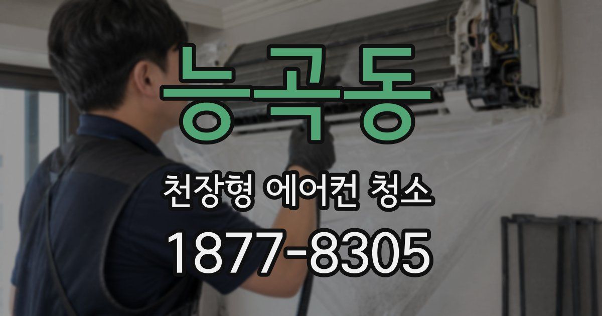 능곡동 천장형 에어컨 청소