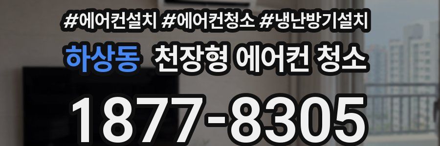 하상동 천장형 에어컨 청소