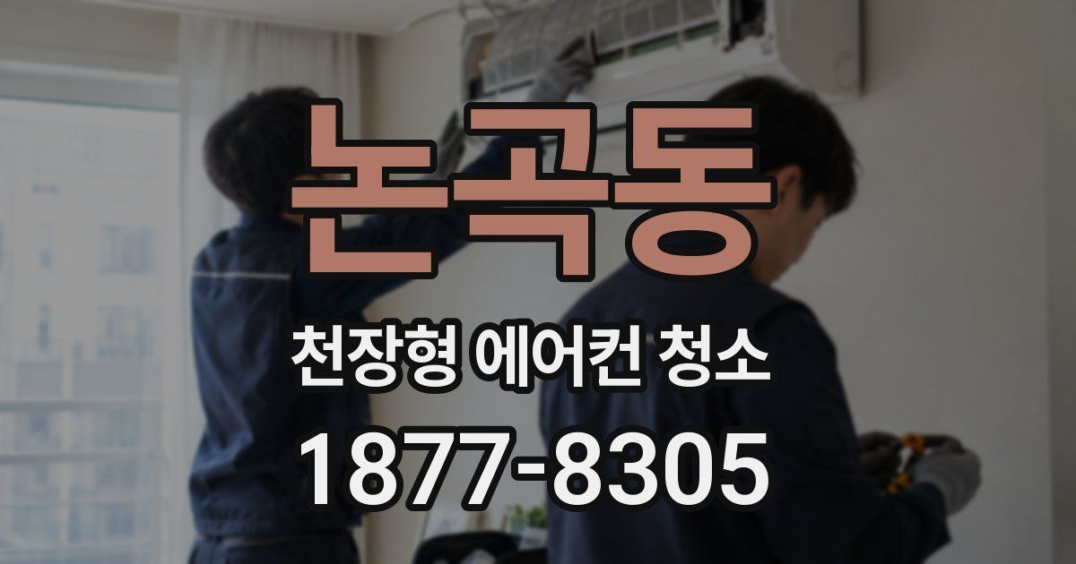 논곡동 천장형 에어컨 청소