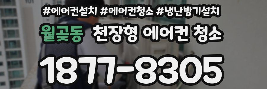 월곶동 천장형 에어컨 청소