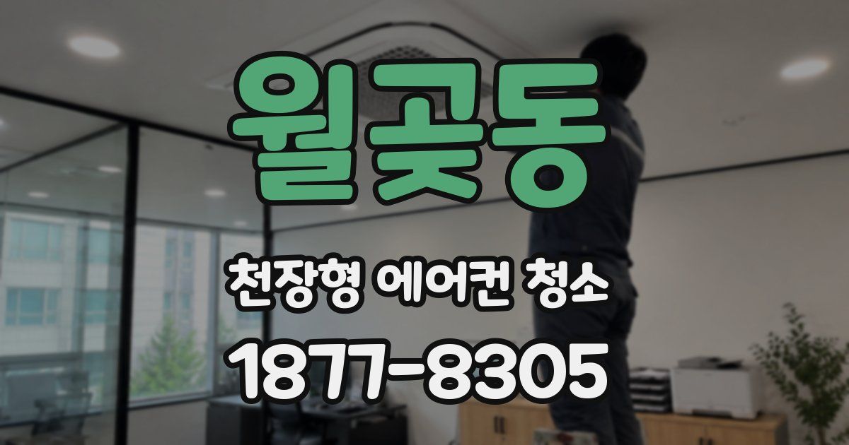 월곶동 천장형 에어컨 청소