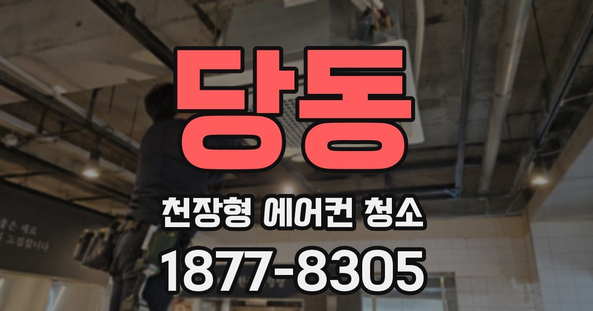 당동 천장형 에어컨 청소