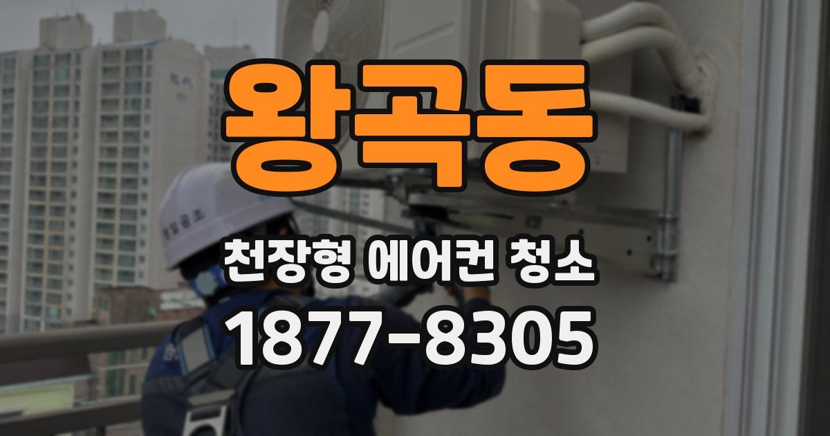 왕곡동 천장형 에어컨 청소