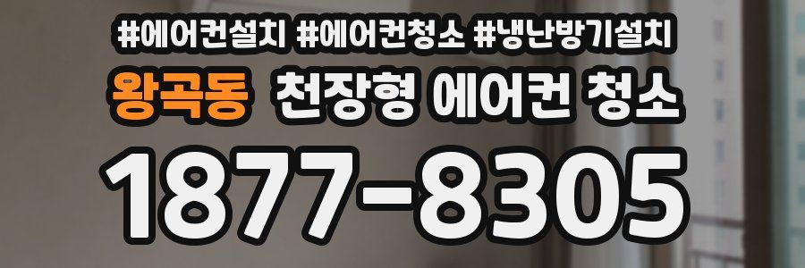 왕곡동 천장형 에어컨 청소