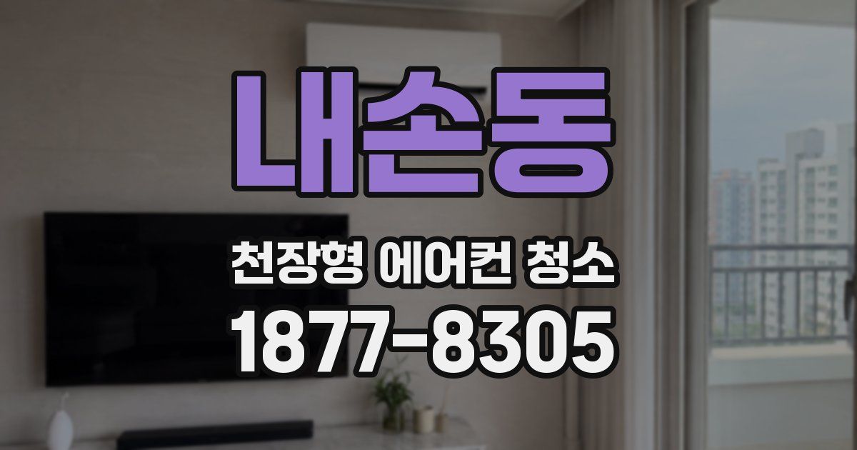 내손동 천장형 에어컨 청소