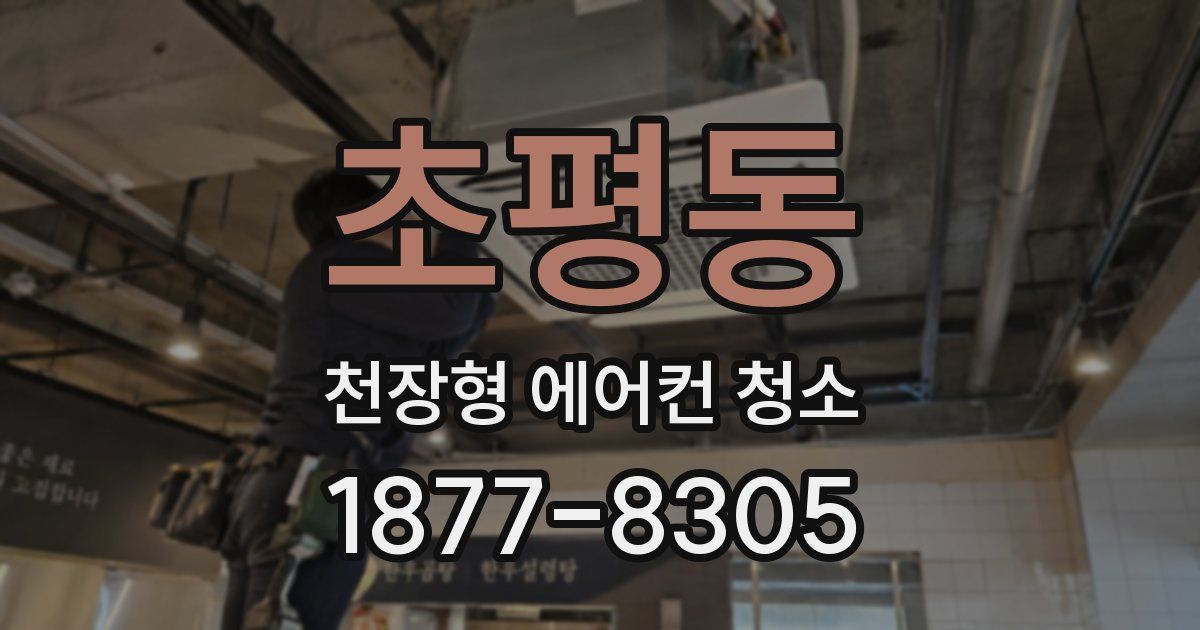 초평동 천장형 에어컨 청소