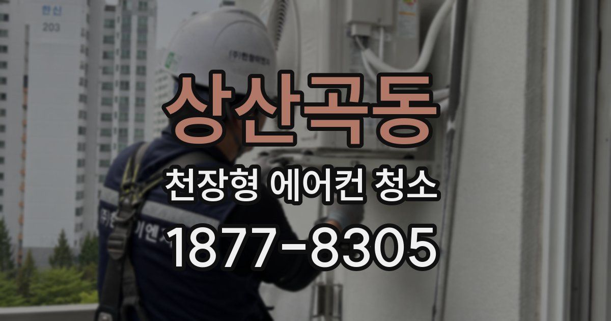 상산곡동 천장형 에어컨 청소